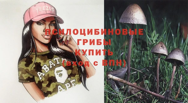 круглые Корсаков