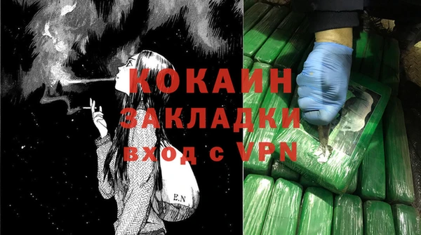 шишки Краснослободск
