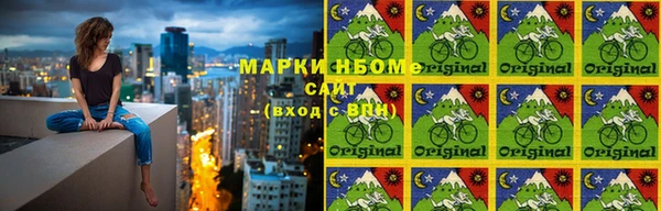 шишки Краснослободск