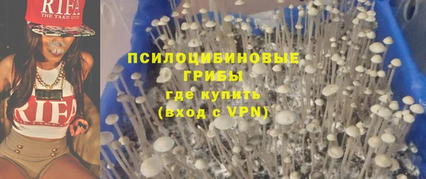 шишки Краснослободск
