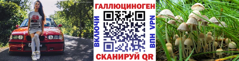 Купить где  Киренск  Галлюциногенные грибы прущие грибы 